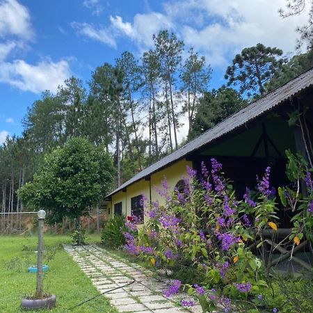ماريشال فلوريانو Sitio Cachoeirinha - Araguaia المظهر الخارجي الصورة
